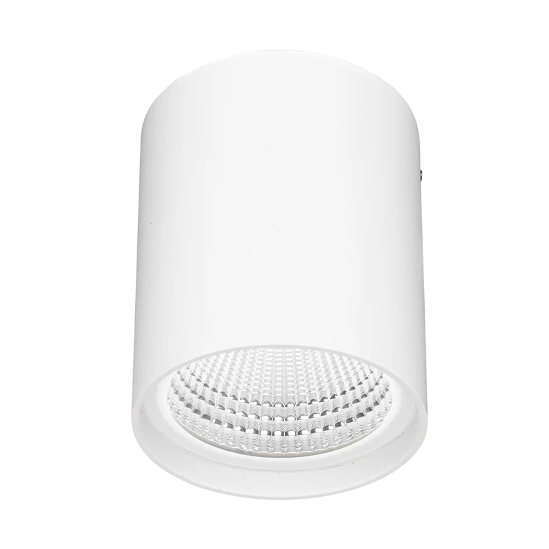 Brilliant Anka White 9W CCT Surface Mount Downlight