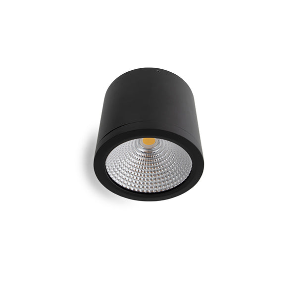 25W LED IP54 Dimmable Surface Mount Downlight - Black