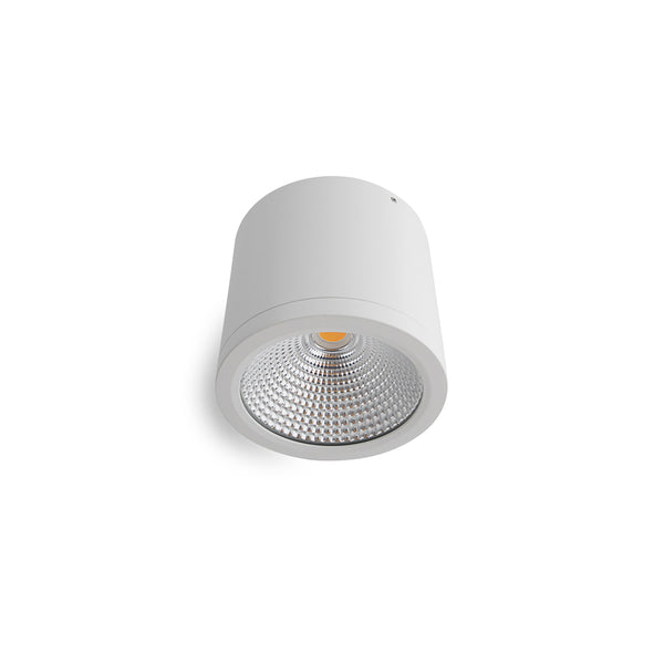 25W LED IP54 Dimmable Surface Mount Downlight - White